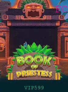 Descubra o Envolvente Mundo de BookOfPriestess com VIP599