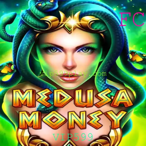 MedusaMoney: Descubra as Regras e Estratégias para o Sucesso